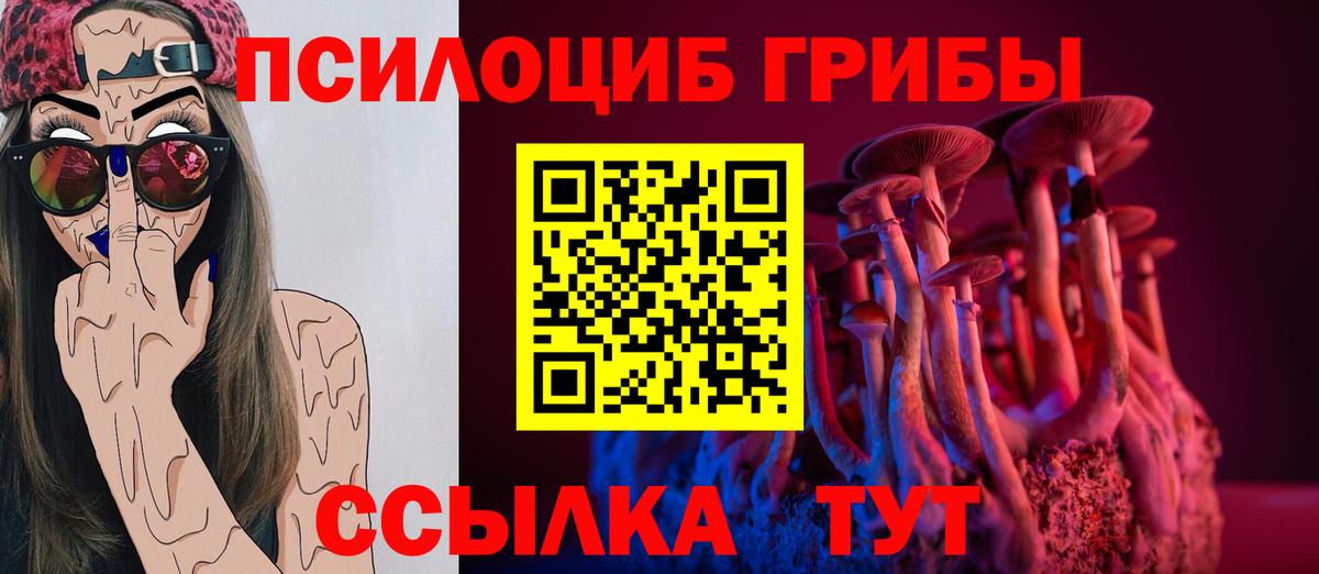 Галлюциногенные грибы Cubensis Лысьва